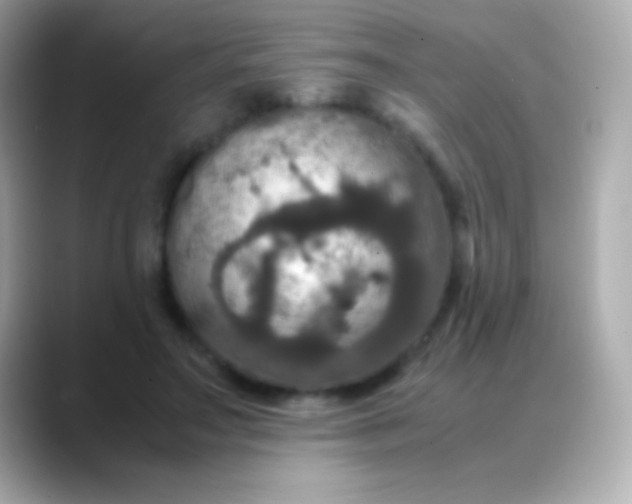 X0000088480499200706051403
