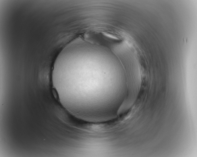 X0000088480501200706051403