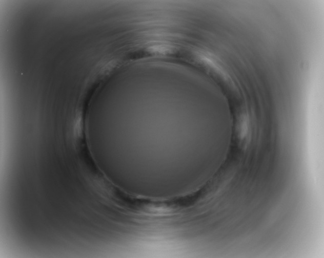 X0000088480502200706051403