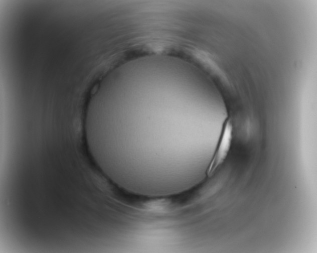 X0000088480505200706051403