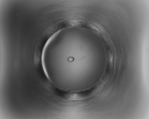 X0000088480507200706051403