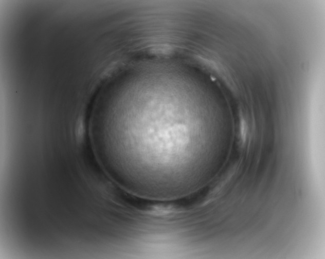 X0000088480508200706051403