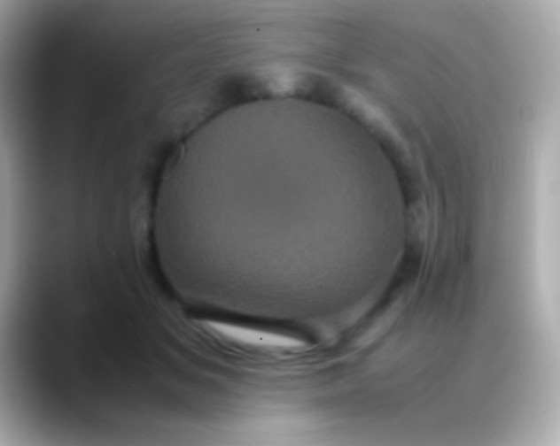 X0000088480509200706051403