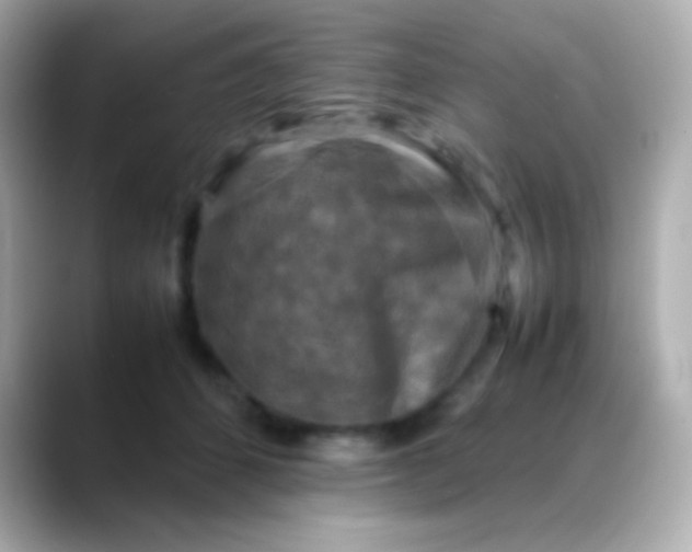 X0000088480512200706051403