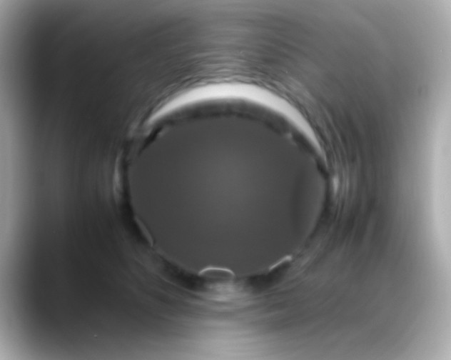 X0000088480516200706051403