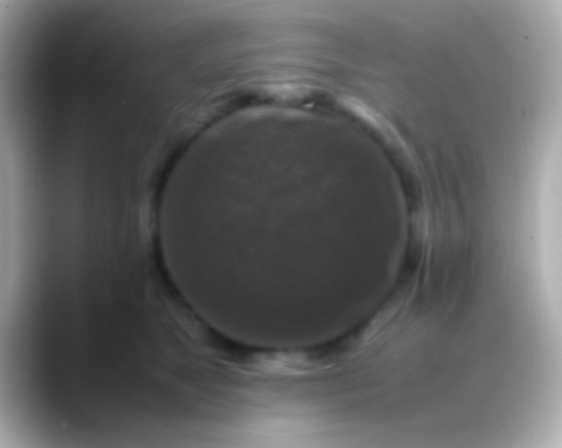 X0000088480517200706051403
