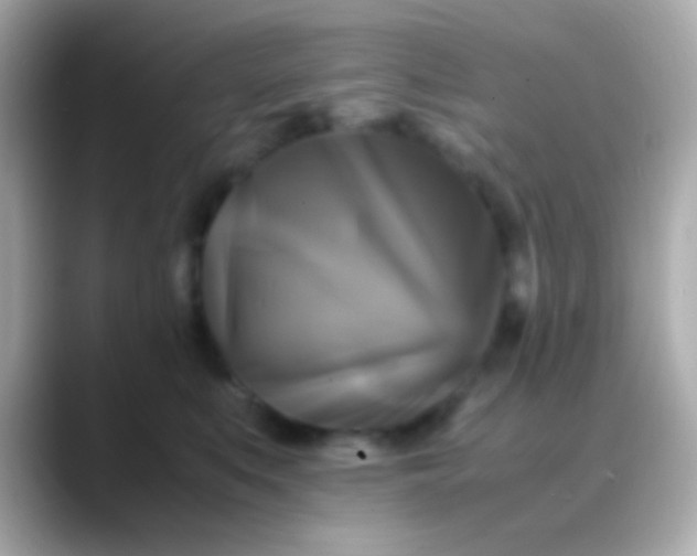 X0000088480519200706051402