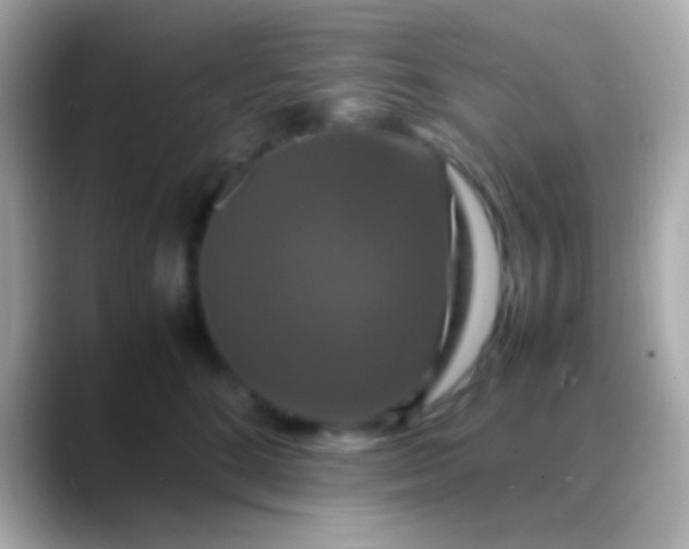X0000088480520200706051402