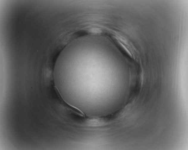 X0000088480521200706051402