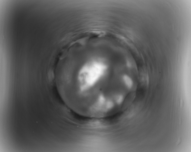 X0000088480523200706051402