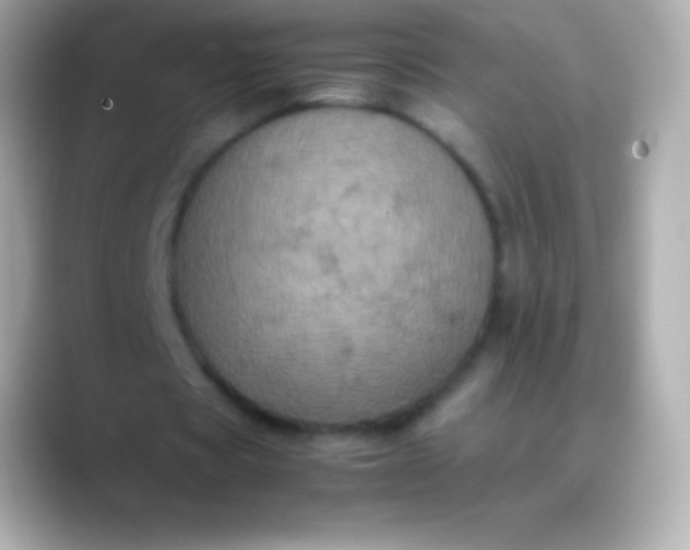 X0000088480529200706051402