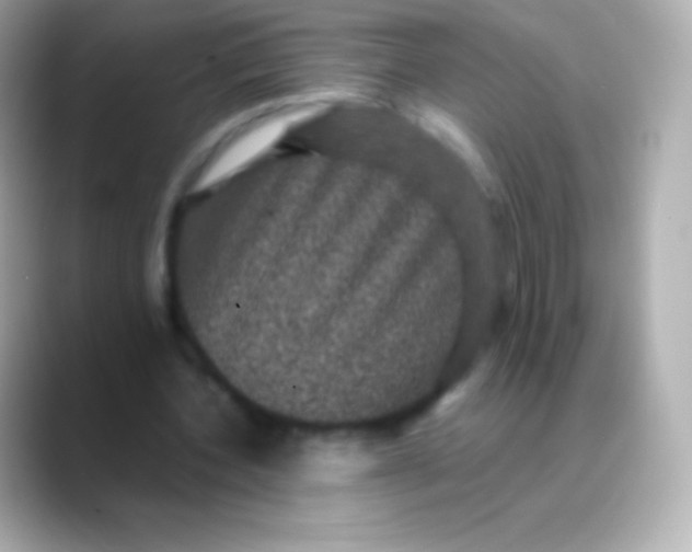 X0000088480532200706051402