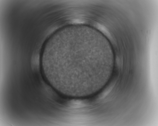 X0000088480534200706051402