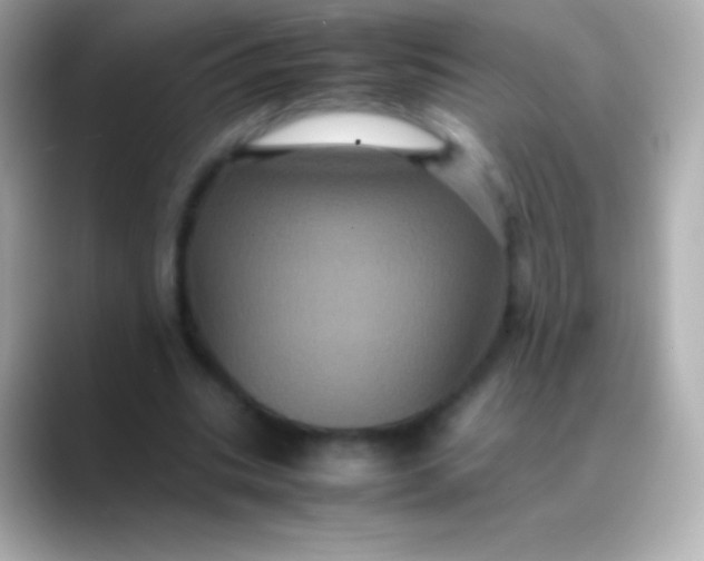 X0000088480535200706051402