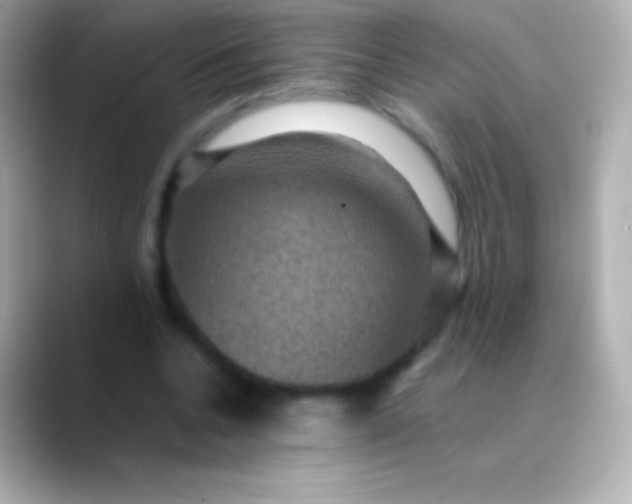 X0000088480536200706051402