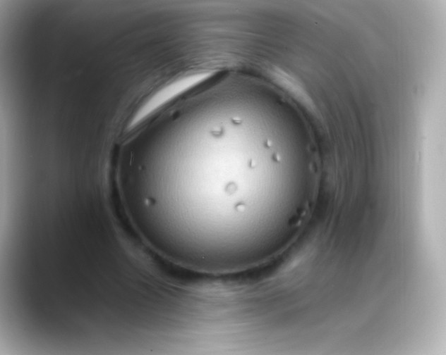 X0000088480538200706051402