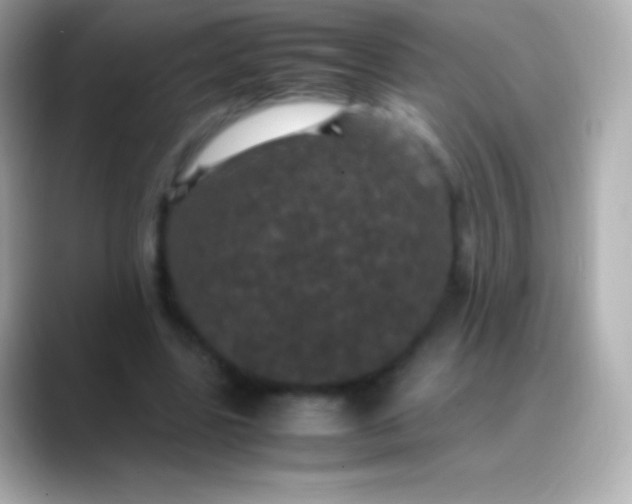 X0000088480539200706051402