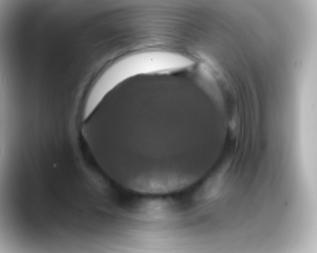 X0000088480540200706051402