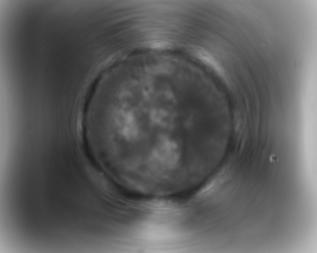 X0000088480542200706051402