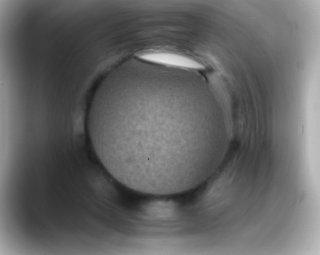 X0000088480543200706051402