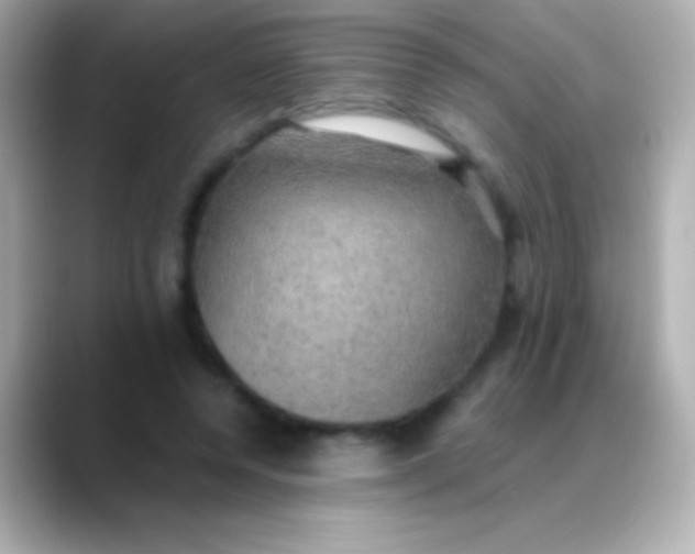 X0000088480544200706051402