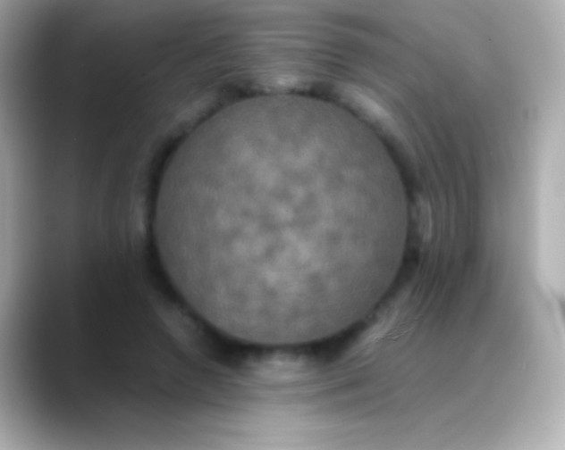 X0000088480546200706051402