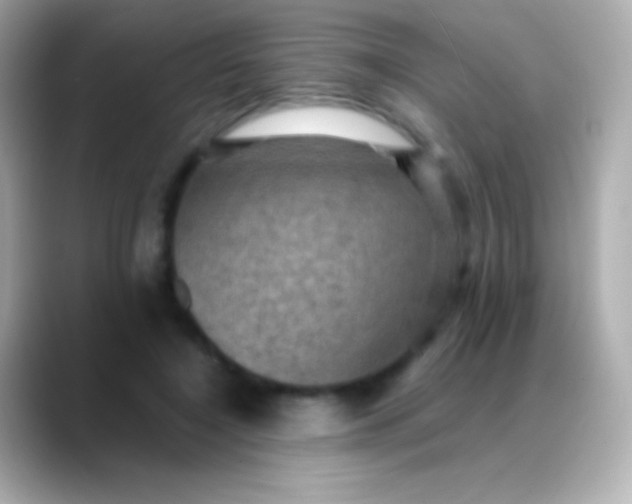 X0000088480548200706051402