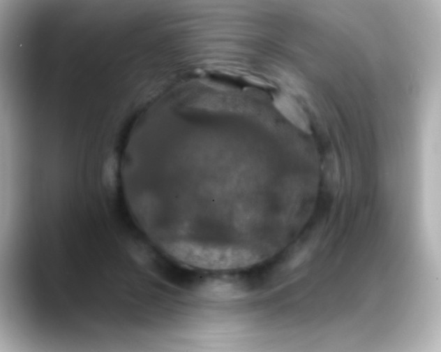 X0000088480550200706051402