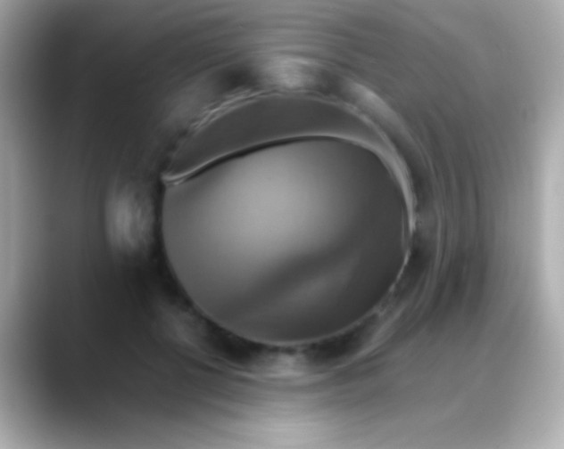 X0000088480552200706051402