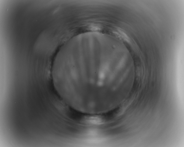 X0000088480553200706051402