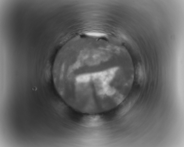 X0000088480554200706051402
