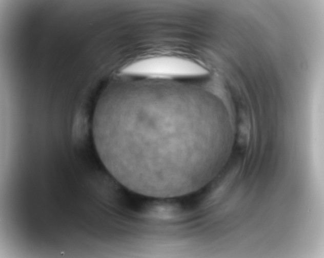X0000088480555200706051402
