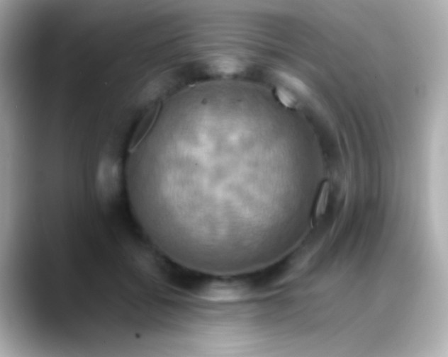 X0000088480556200706051402