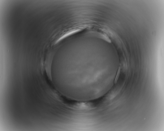 X0000088480558200706051402
