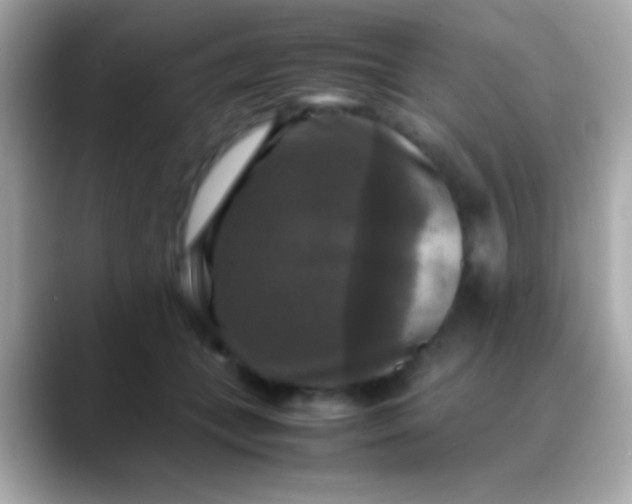 X0000088480559200706051402