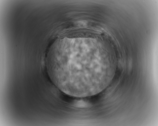X0000088480561200706051402