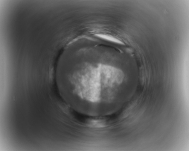 X0000088480563200706051402