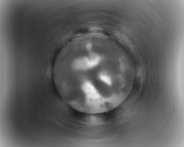 X0000088480565200706051402