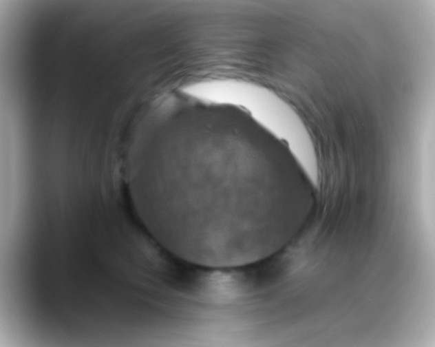 X0000088480566200706051402