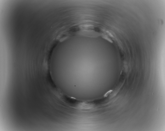 X0000088480568200706051402