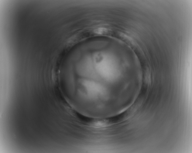 X0000088480569200706051402
