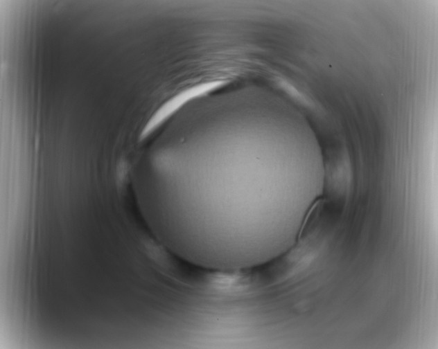 X0000088480574200706051402