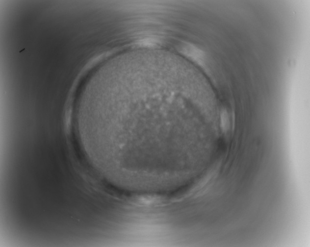 X0000088480579200706051402