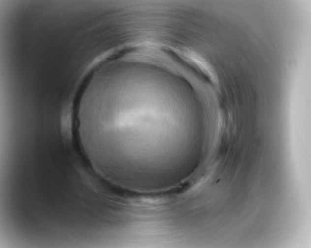 X0000088480580200706051402