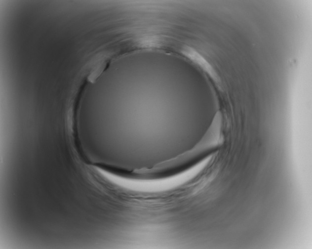 X0000088480581200706051402