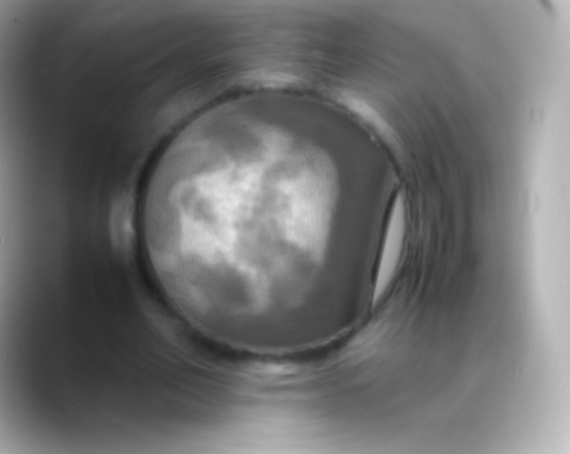 X0000088480582200706051402