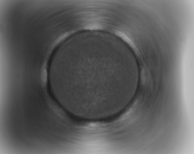 X0000088480584200706051402