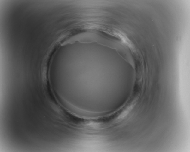 X0000088480585200706051402