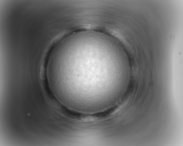 X0000088480587200706051402