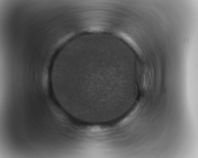 X0000088480588200706051402
